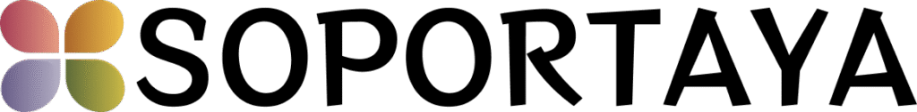 clientox.net